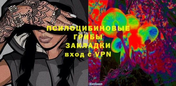 мяу мяу мука Елизово